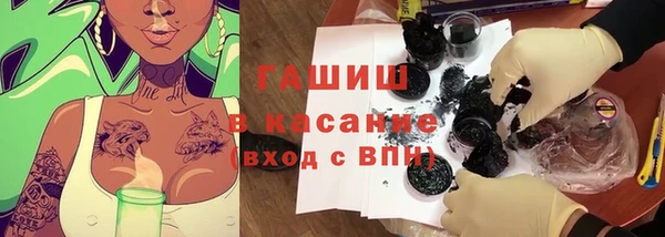 стафф Михайловск