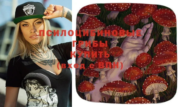 стафф Михайлов