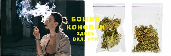 стафф Михайлов