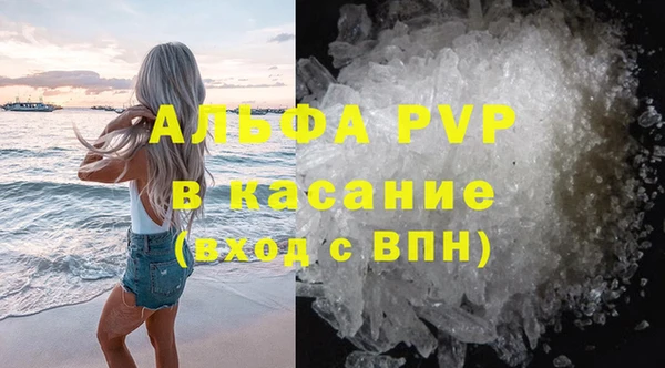 стафф Михайловск
