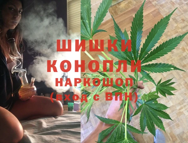 стафф Михайловск