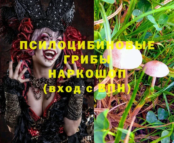 стафф Михайлов