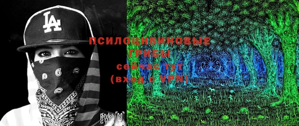 стафф Михайловск