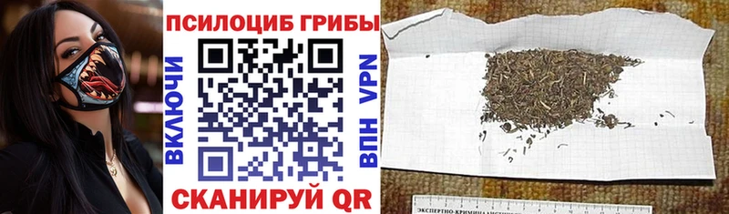 Галлюциногенные грибы мухоморы  Зарайск 